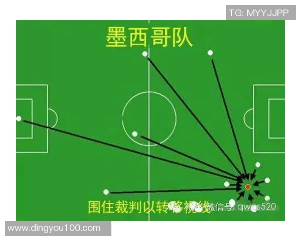 广州排球队灵活性表现的深度数据分析与战术探讨