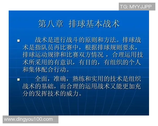 杭州排球队的战术控制分析与未来发展展望